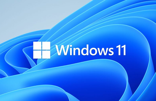 Licencia digital Windows 11 Home