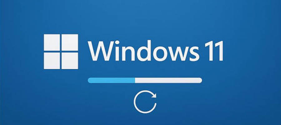 Tipos de Licencia de Software